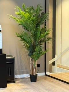 Klantfoto: AVH-Collectie Kunstplant paradise acrea palm 190 cm hoog